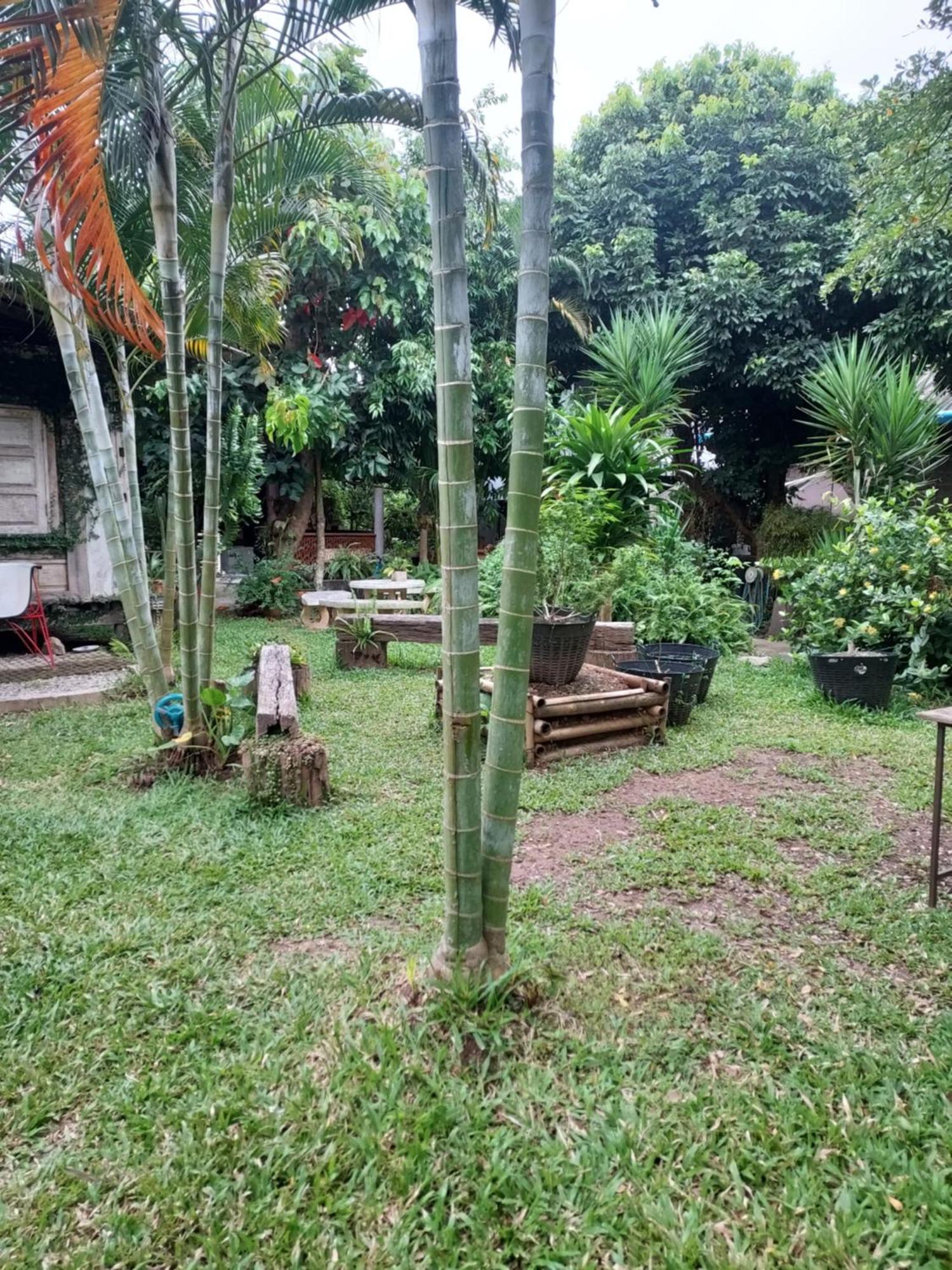 Kwanlah Homestay Mae Chaem Buitenkant foto