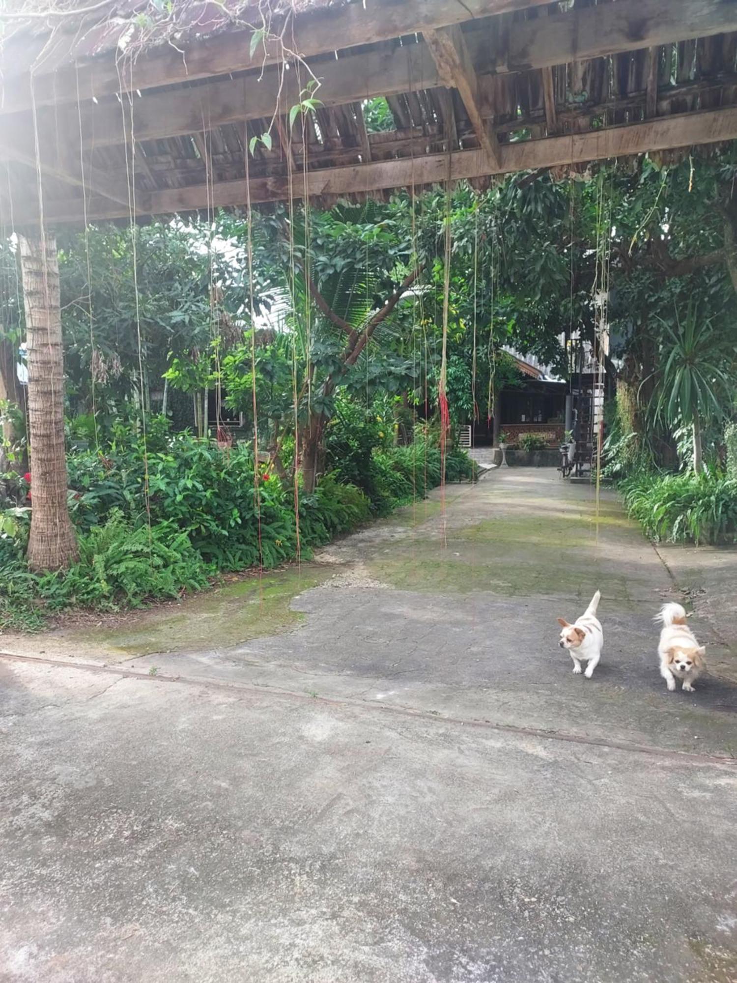 Kwanlah Homestay Mae Chaem Buitenkant foto